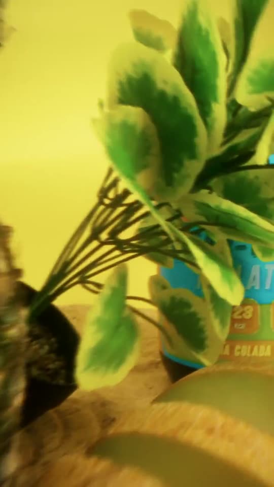 Evolve clear flavor content reel